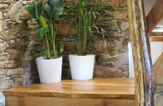 Linhares - Country House Turismo, Natureza e Aventura - Foto 14