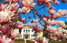 Villa Serena Agriturismo - Foto 9