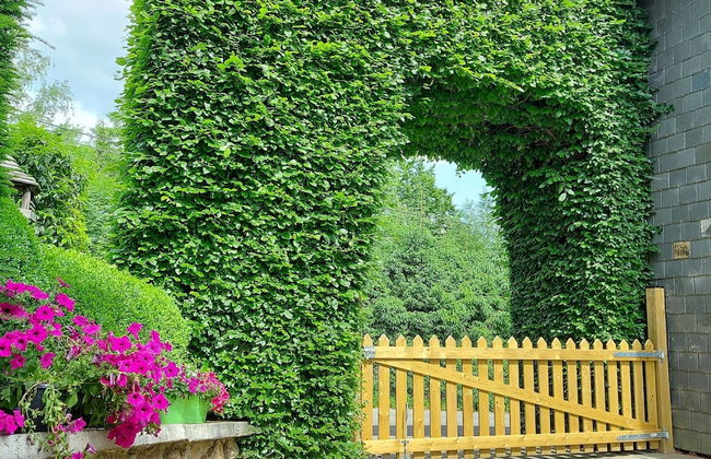 Spacious Holiday Home in Malmedy near Nature Parc High Venn - Foto 37