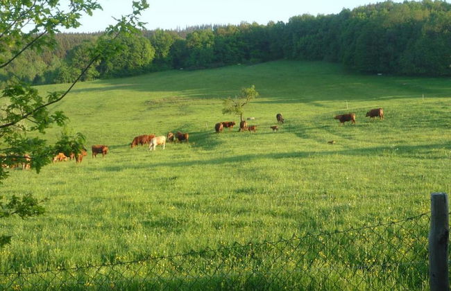 Meadow View Cottage in Winterstein Thuringia near Ski Area - Foto 37