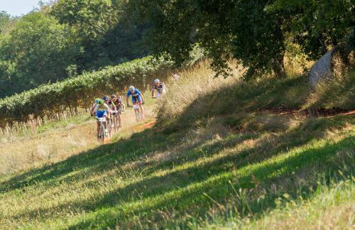 Apartments P&B - Foto 73