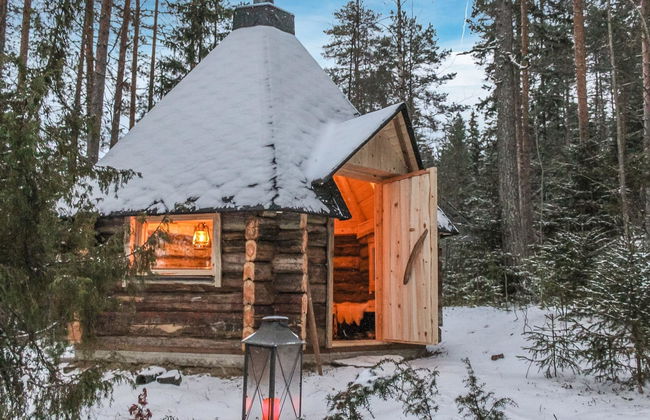 Mäntyniemi - Foto 13