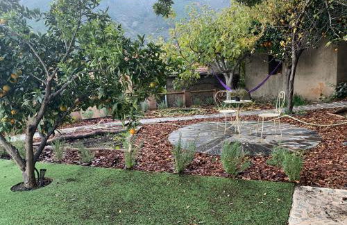 Caserío de Ovejuela - Foto 74