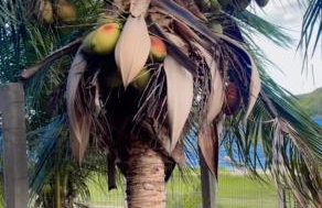 Casa Bela Vista - Foto 9