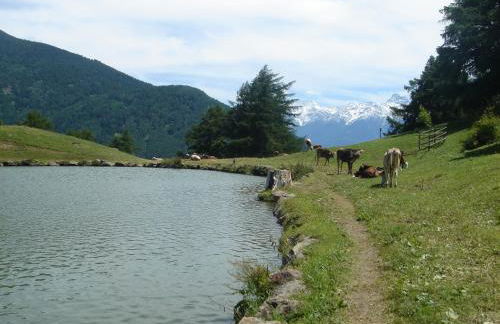 Lapis Monti - Apartments & Suites - Foto 15