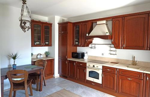 Apartament Kwiatowy klimatyzowany - Foto 1