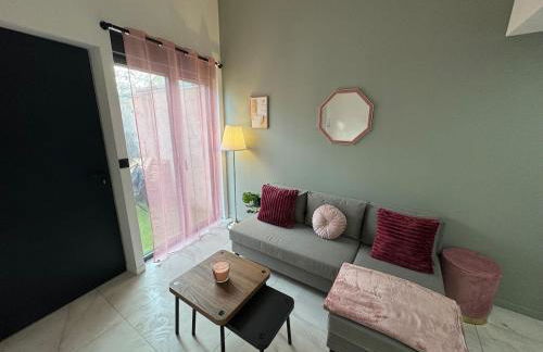 Petit Boudoir Lyonnais neuf terrasse climatisé - Foto 4