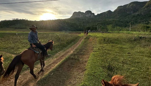 Balade à cheval au coucher de soleil