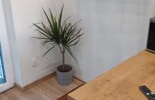 Wierzchy 34 - Photo 29