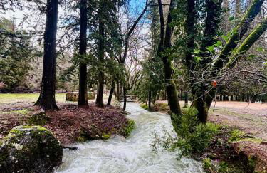 La Casita del Ojuelo - Foto 32