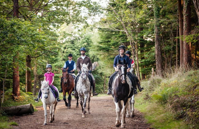 Casa Montana Vista - Foto 12