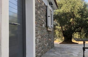 Emmeleia's - Photo 18