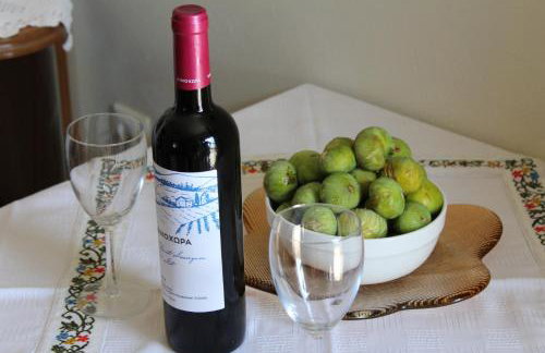 Apartments Spiros Pelion - Foto 36