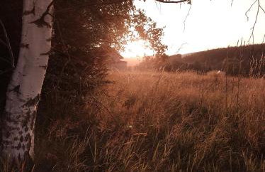 Bukowe Zacisze - Foto 21