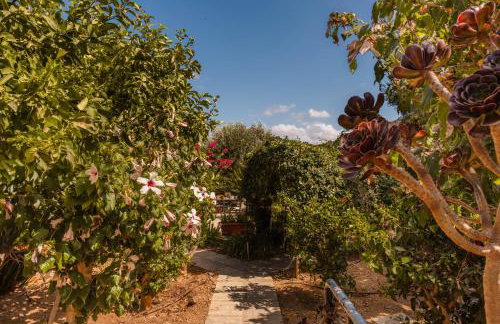 Villa Stefanotis - Foto 18