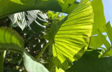 Athenian Coastal Urban Living - Foto 46