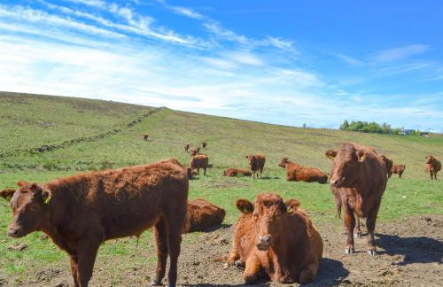Spindle Well Barn - Photo 17