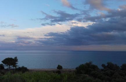 Margarita House - Photo 46