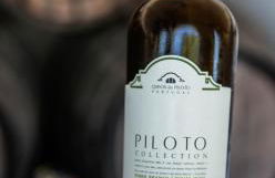 Quinta do Piloto - Foto 27