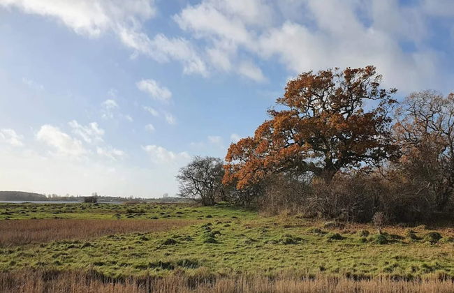 6 Person Holiday Home in Kettinge - Foto 17