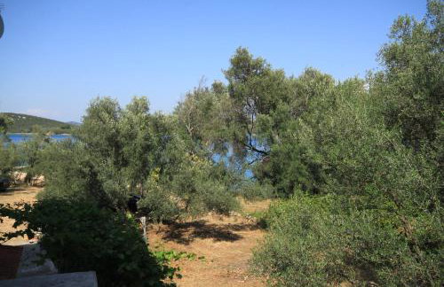 Apartments by the sea Luka - Dugi otok - 8151 - Photo 35