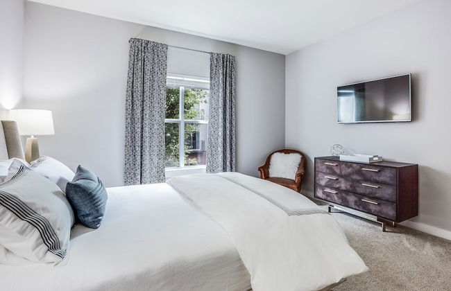 Picture Perfect - Foto 4