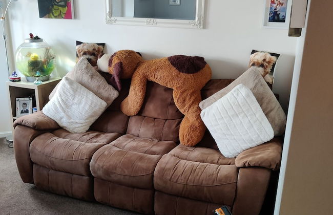 Captivating 1-bed Apartment in Bournemouth - Foto 13