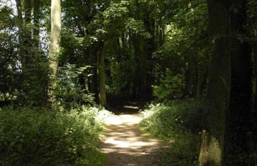 Lakes and woodlands Overstone Holiday Park - Foto 48