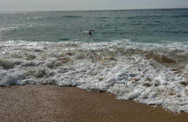 Quinta Ti Lita - Foto 10