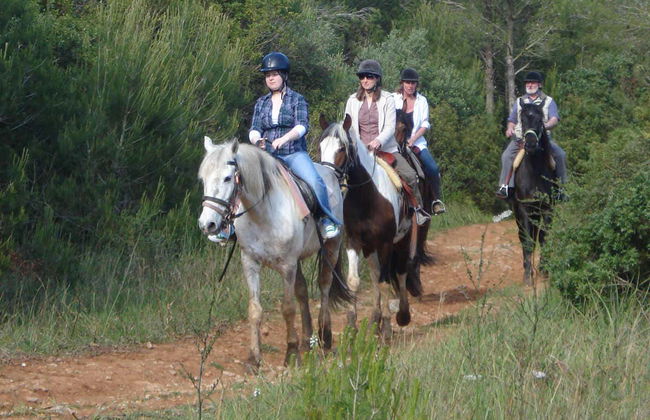 Passeio a cavalo por Alcudia - Foto 1