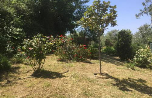 THE CABIN, KYPARISSIA - Foto 30