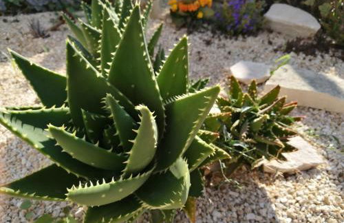 Villa Buenavista - Foto 50