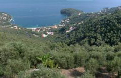 Villa Vigla - Foto 35