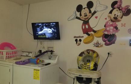 Orlando Mouse Manor - Foto 60