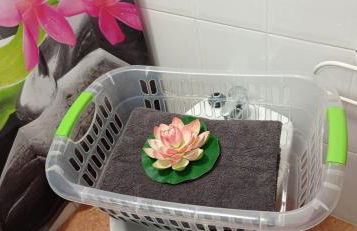 Avenida El Puente, 26 - Foto 23