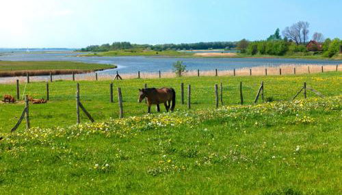 Haus Sonnenschein Sonnenwinkel - Foto 3