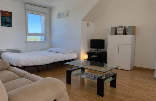 353 - T2 lumineux avec vue imprenable sur le Cap Fréhel et l'Anse du Croc. - Foto 1