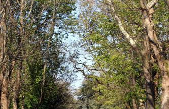 Escapade nature à deux dans un gîte cosy bordé d'un parc arboré - Foto 18