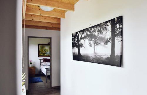 Wczasy u Gospodarza na Kaszubach - Foto 8