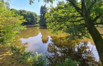 Le fournil à Mïette - Foto 39