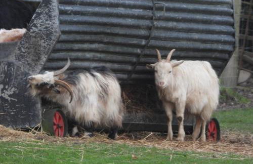 The Milking Parlour, Wolds Way Holiday Cottages, 1 bed cottage - Foto 21