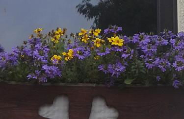 Sommerfrische - Foto 11