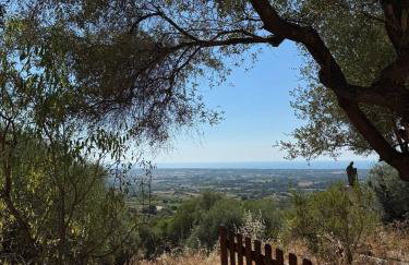 Villa del Palmeto - Foto 22