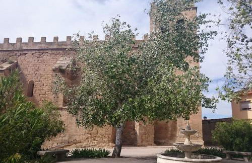 LA GATERA 1D BAJO ARAGON - MATARRAÑA - Foto 13