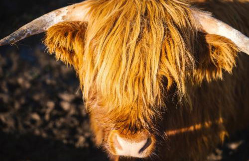 3-bedroom house for outdoor holidays - Foto 18