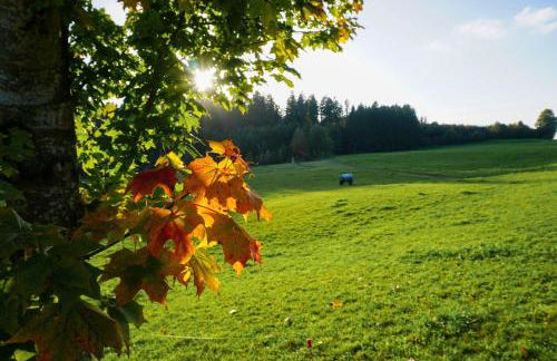 5Sterne Ferienwohnung im Fachwerk mit Bergblick in Alleinlage und großem Garten, Infrarotkabine - Foto 64