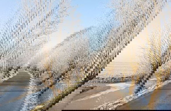 Ruyge Weyde Logies -The Farmer's Daughter - Photo 37