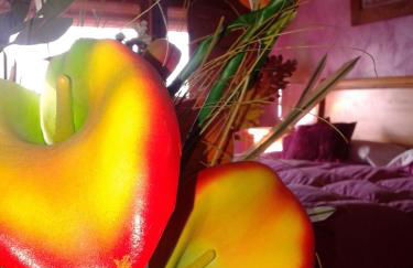 Casa Rural Amparo - Foto 31