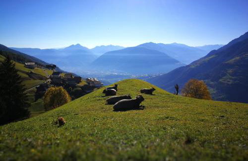 Ferienwohnungen Wiesbauer - Foto 61