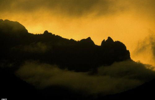 Gästehaus Färbinger - Foto 20